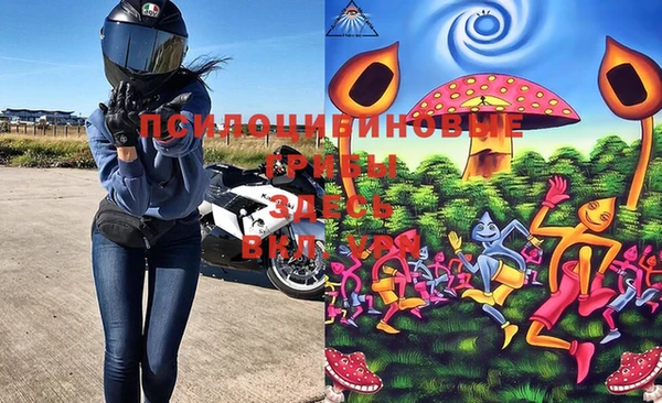 крисы Няндома
