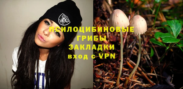 крисы Няндома